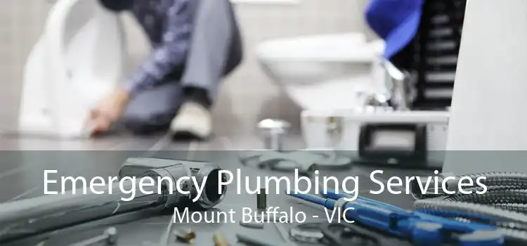 Emergency Plumbing Services Mount Buffalo - VIC