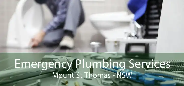 Emergency Plumbing Services Mount St Thomas - NSW