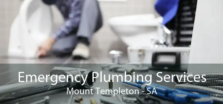 Emergency Plumbing Services Mount Templeton - SA