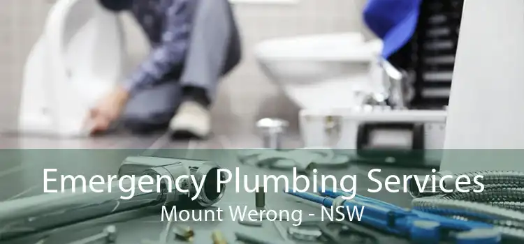 Emergency Plumbing Services Mount Werong - NSW