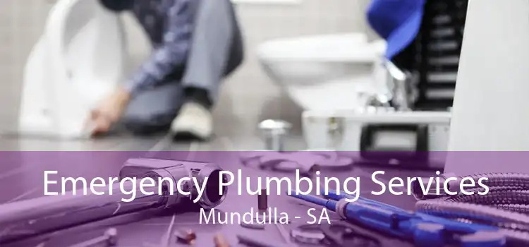 Emergency Plumbing Services Mundulla - SA