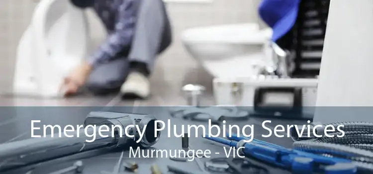 Emergency Plumbing Services Murmungee - VIC