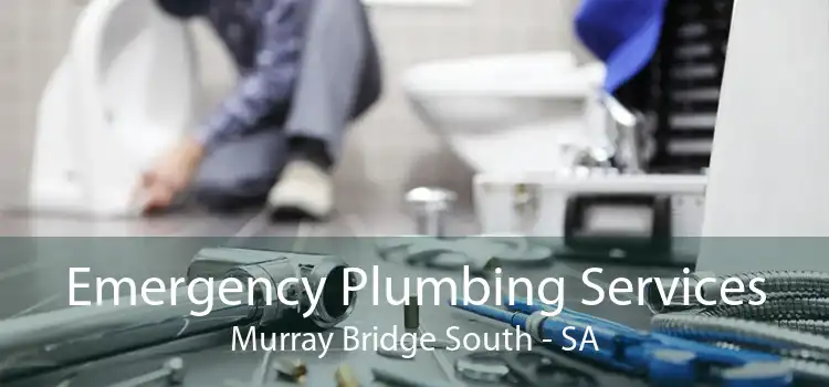 Emergency Plumbing Services Murray Bridge South - SA