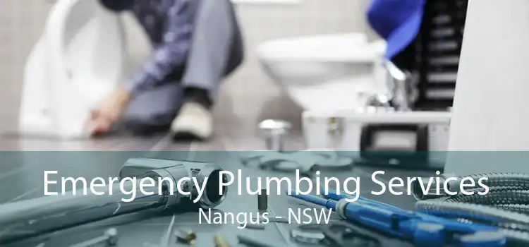 Emergency Plumbing Services Nangus - NSW