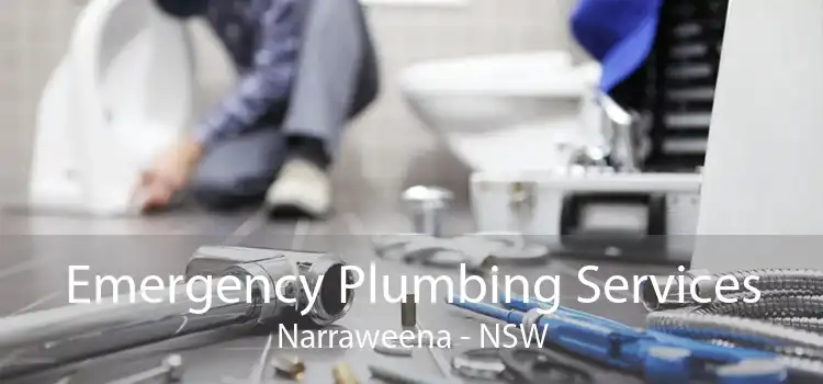 Emergency Plumbing Services Narraweena - NSW