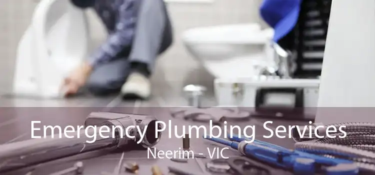 Emergency Plumbing Services Neerim - VIC