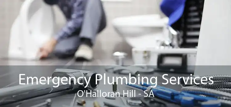 Emergency Plumbing Services O'Halloran Hill - SA