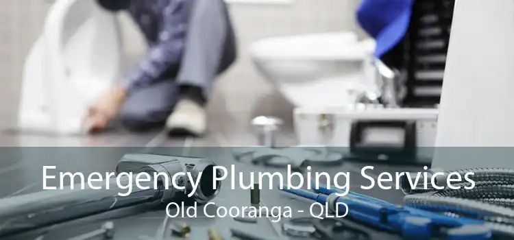 Emergency Plumbing Services Old Cooranga - QLD