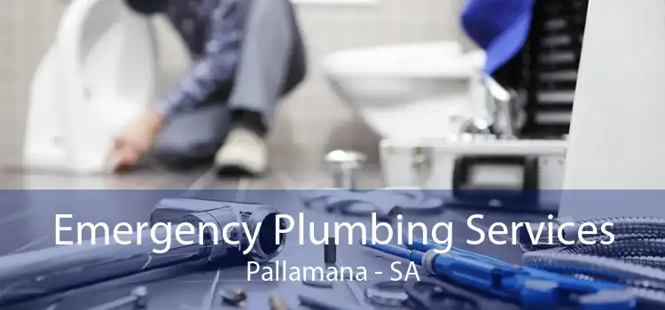 Emergency Plumbing Services Pallamana - SA