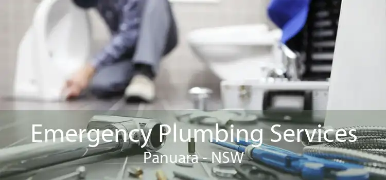 Emergency Plumbing Services Panuara - NSW