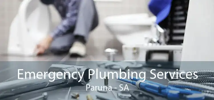 Emergency Plumbing Services Paruna - SA