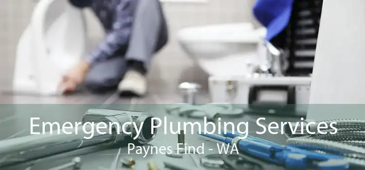 Emergency Plumbing Services Paynes Find - WA