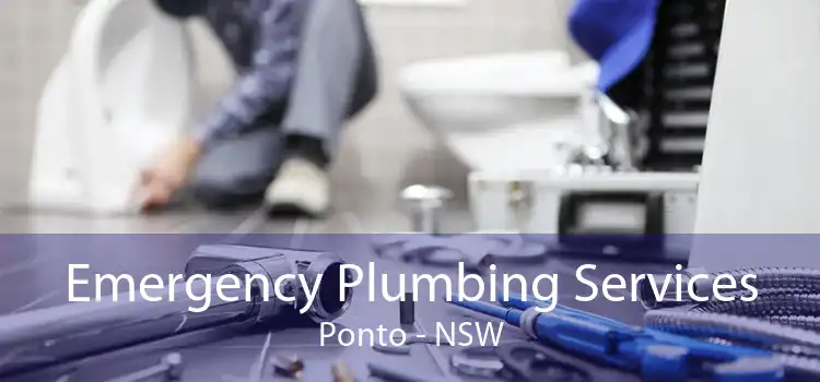 Emergency Plumbing Services Ponto - NSW