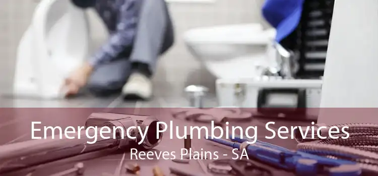 Emergency Plumbing Services Reeves Plains - SA