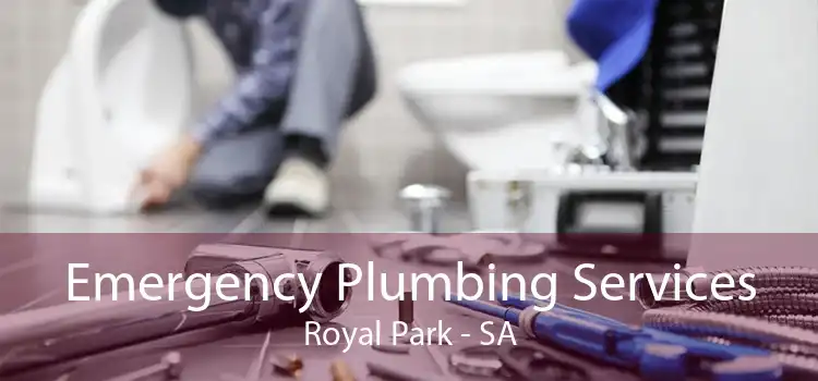 Emergency Plumbing Services Royal Park - SA