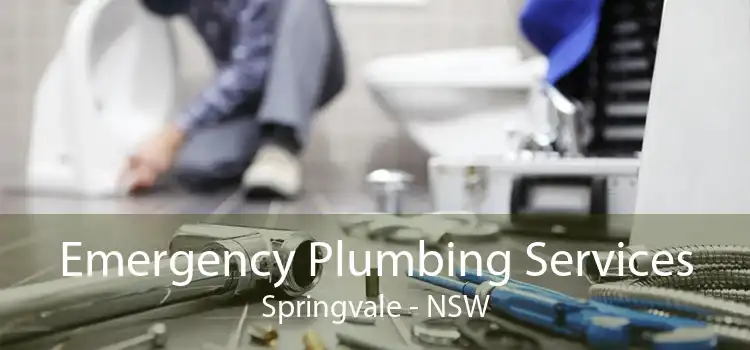 Emergency Plumbing Services Springvale - NSW