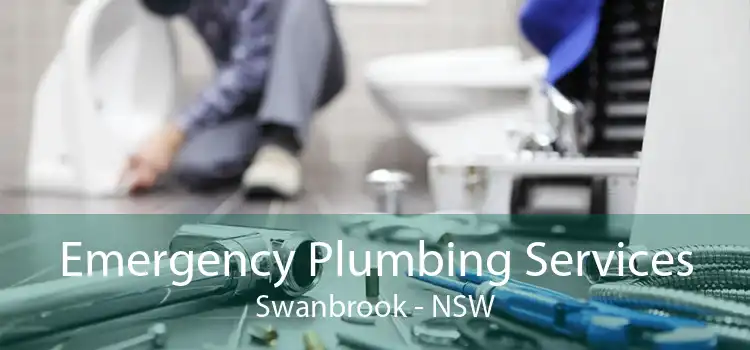 Emergency Plumbing Services Swanbrook - NSW