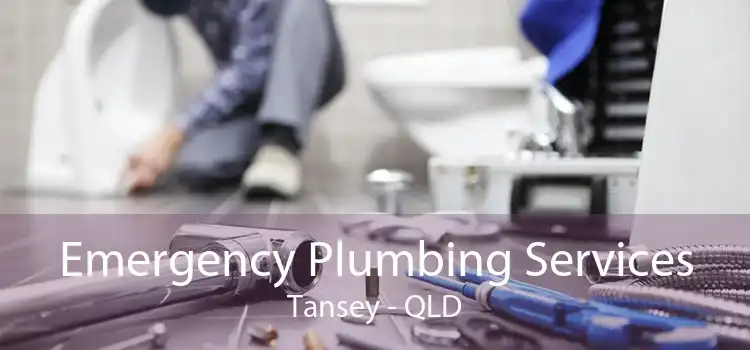 Emergency Plumbing Services Tansey - QLD