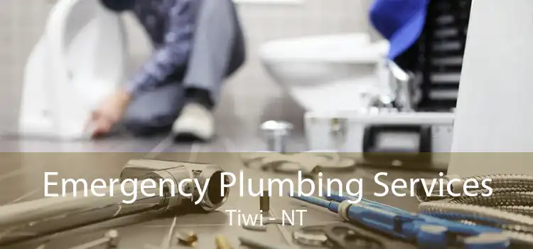 Emergency Plumbing Services Tiwi - NT