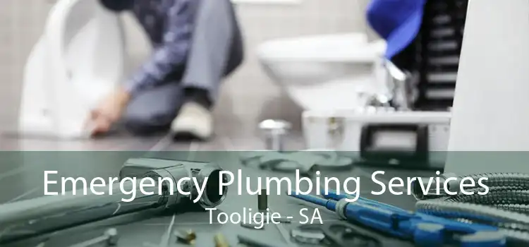 Emergency Plumbing Services Tooligie - SA