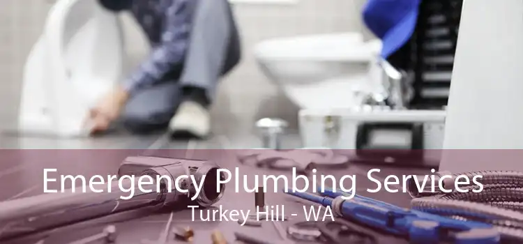 Emergency Plumbing Services Turkey Hill - WA