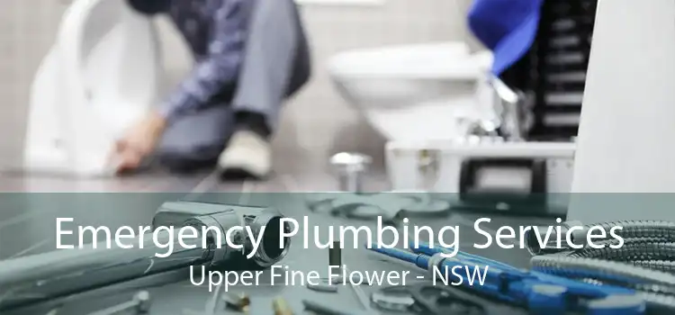 Emergency Plumbing Services Upper Fine Flower - NSW