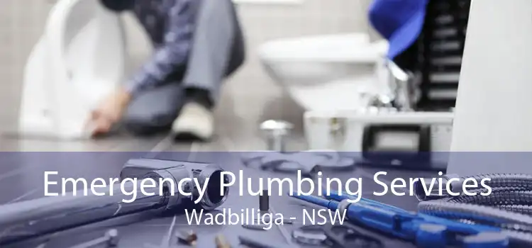 Emergency Plumbing Services Wadbilliga - NSW