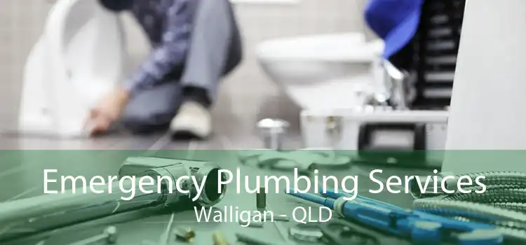 Emergency Plumbing Services Walligan - QLD