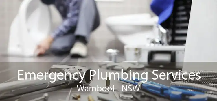Emergency Plumbing Services Wambool - NSW