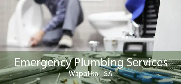 Emergency Plumbing Services Wappilka - SA