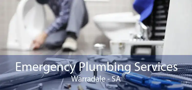 Emergency Plumbing Services Warradale - SA