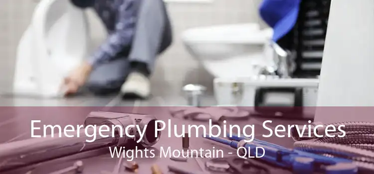 Emergency Plumbing Services Wights Mountain - QLD