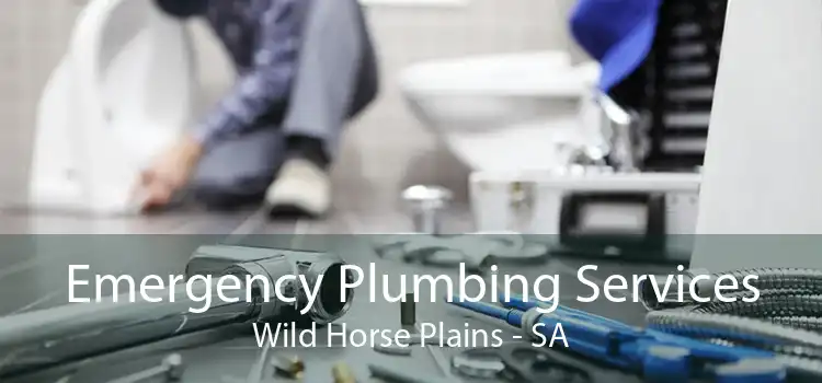 Emergency Plumbing Services Wild Horse Plains - SA