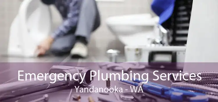 Emergency Plumbing Services Yandanooka - WA