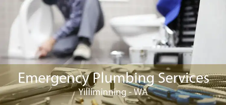 Emergency Plumbing Services Yilliminning - WA