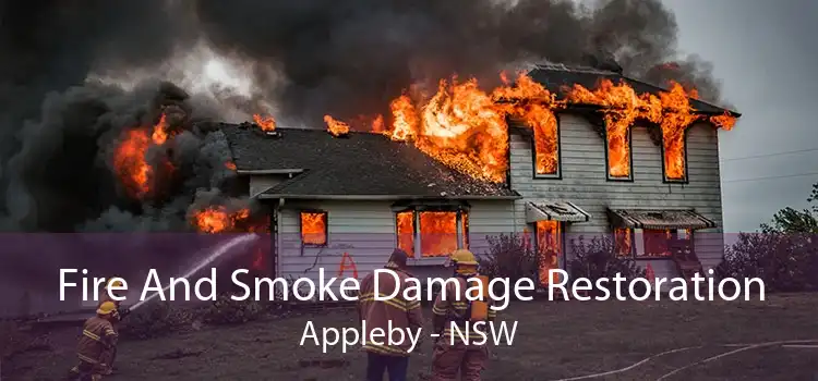 Fire And Smoke Damage Restoration Appleby - NSW