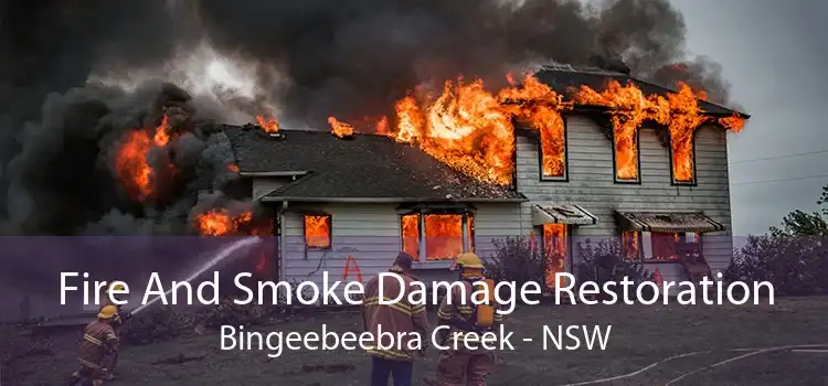 Fire And Smoke Damage Restoration Bingeebeebra Creek - NSW