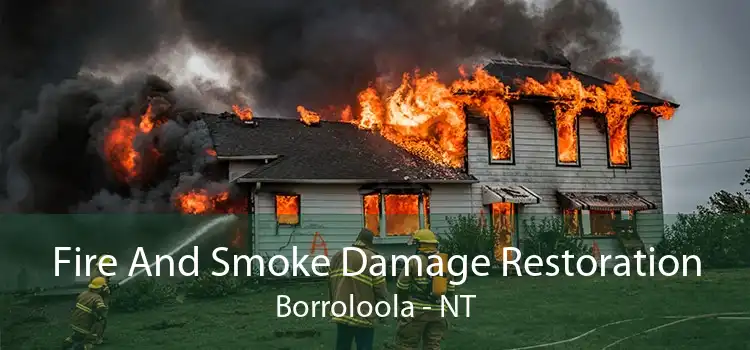 Fire And Smoke Damage Restoration Borroloola - NT