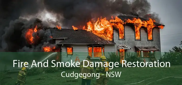 Fire And Smoke Damage Restoration Cudgegong - NSW