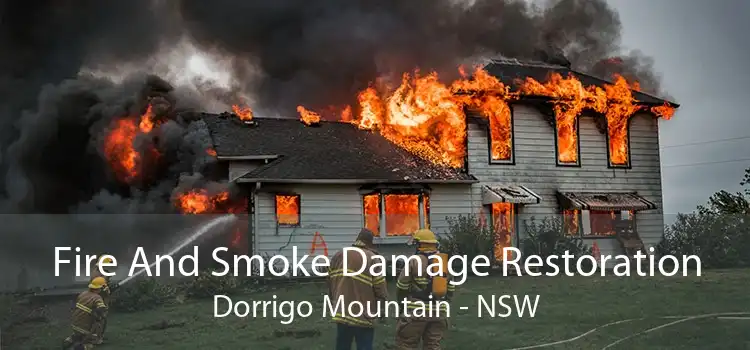 Fire And Smoke Damage Restoration Dorrigo Mountain - NSW