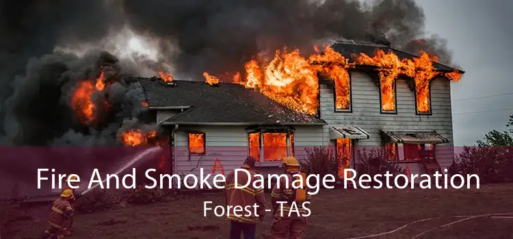 Fire And Smoke Damage Restoration Forest - TAS