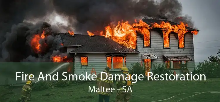 Fire And Smoke Damage Restoration Maltee - SA
