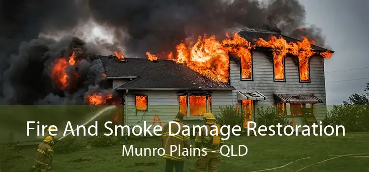 Fire And Smoke Damage Restoration Munro Plains - QLD