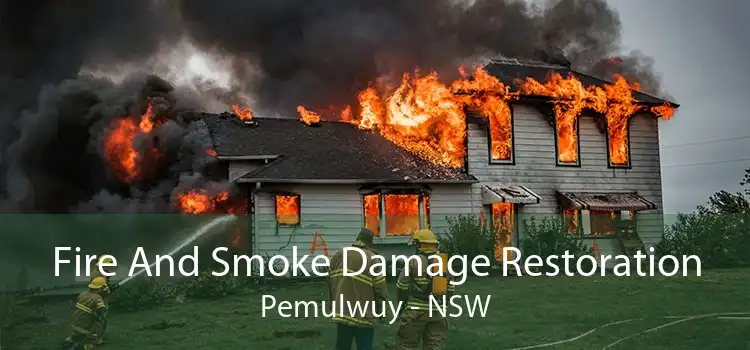 Fire And Smoke Damage Restoration Pemulwuy - NSW