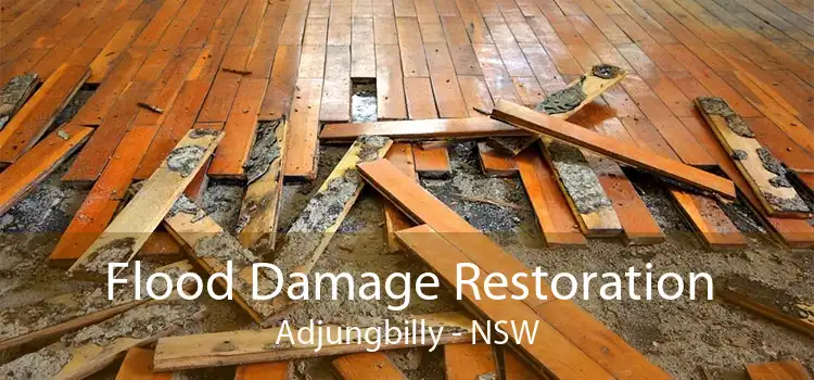 Flood Damage Restoration Adjungbilly - NSW