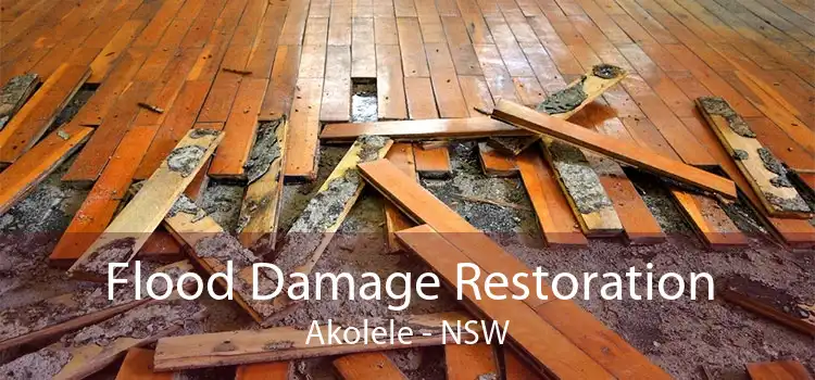 Flood Damage Restoration Akolele - NSW