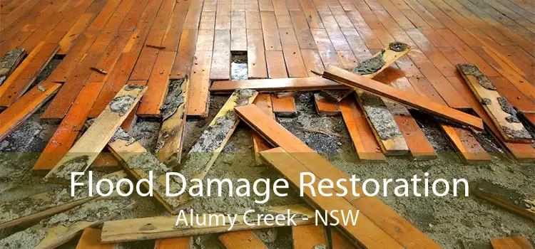 Flood Damage Restoration Alumy Creek - NSW