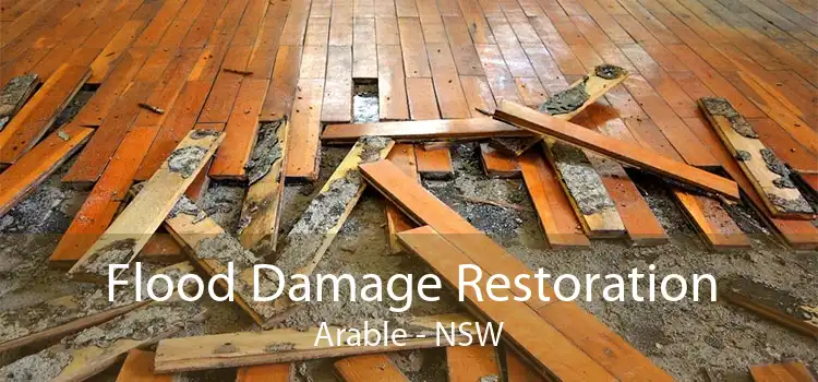 Flood Damage Restoration Arable - NSW