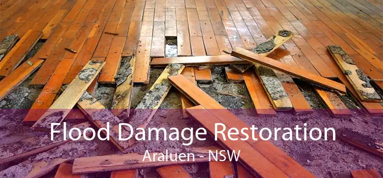 Flood Damage Restoration Araluen - NSW