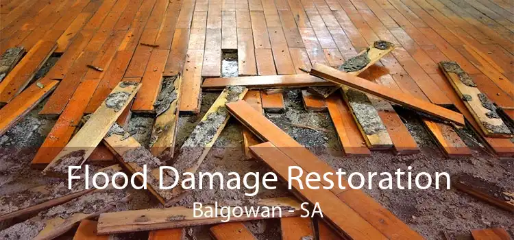 Flood Damage Restoration Balgowan - SA